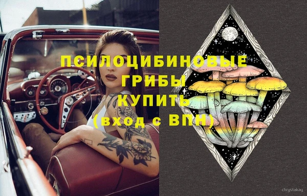 спиды Протвино