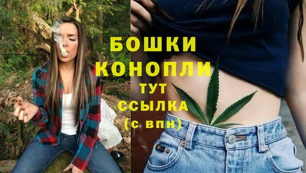 спиды Протвино