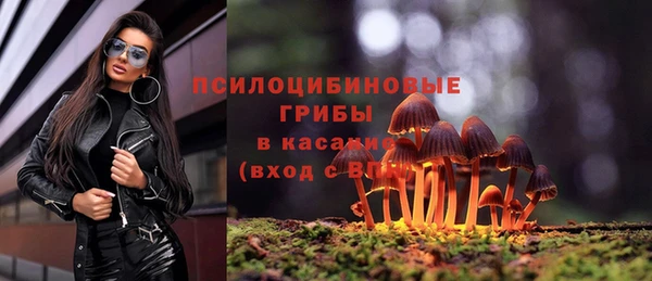 меф Приозерск
