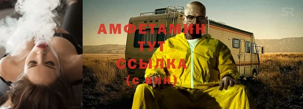 прущие грибы Ростов